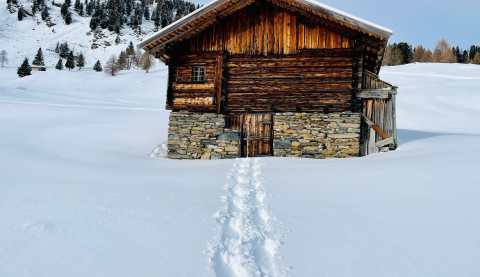 Natur 