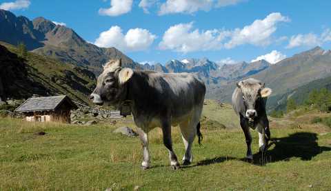 Das Passeiertal im Naturpark Texelgruppe, Südtirol